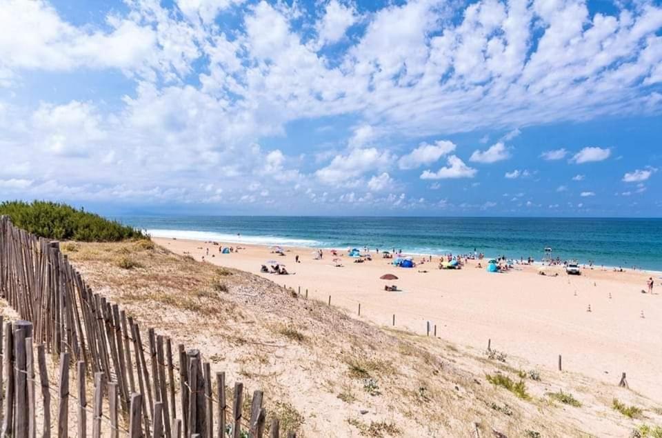 T2 Antigua Ondres Plage Avec Piscine Et Tennis Eksteriør bilde