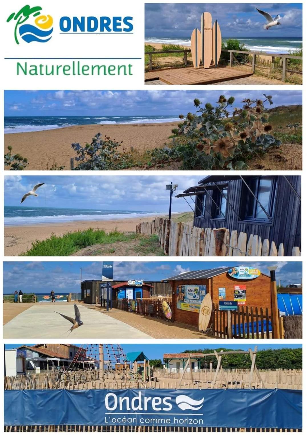 T2 Antigua Ondres Plage Avec Piscine Et Tennis Eksteriør bilde